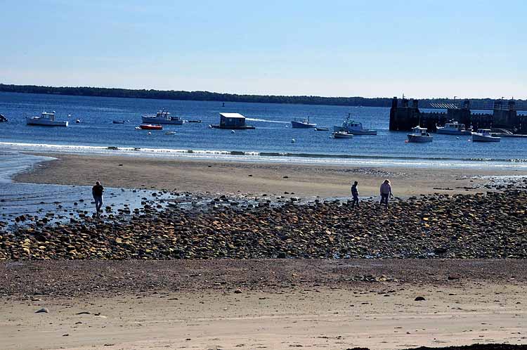 beach at low tide